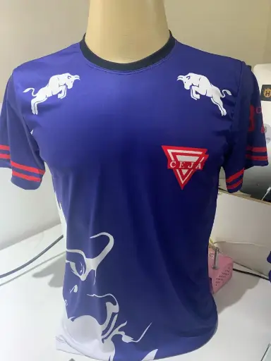 Camiseta de Interclasse